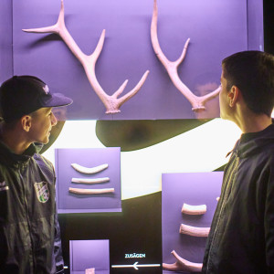 In der Ausstellung im Wikinger Museum